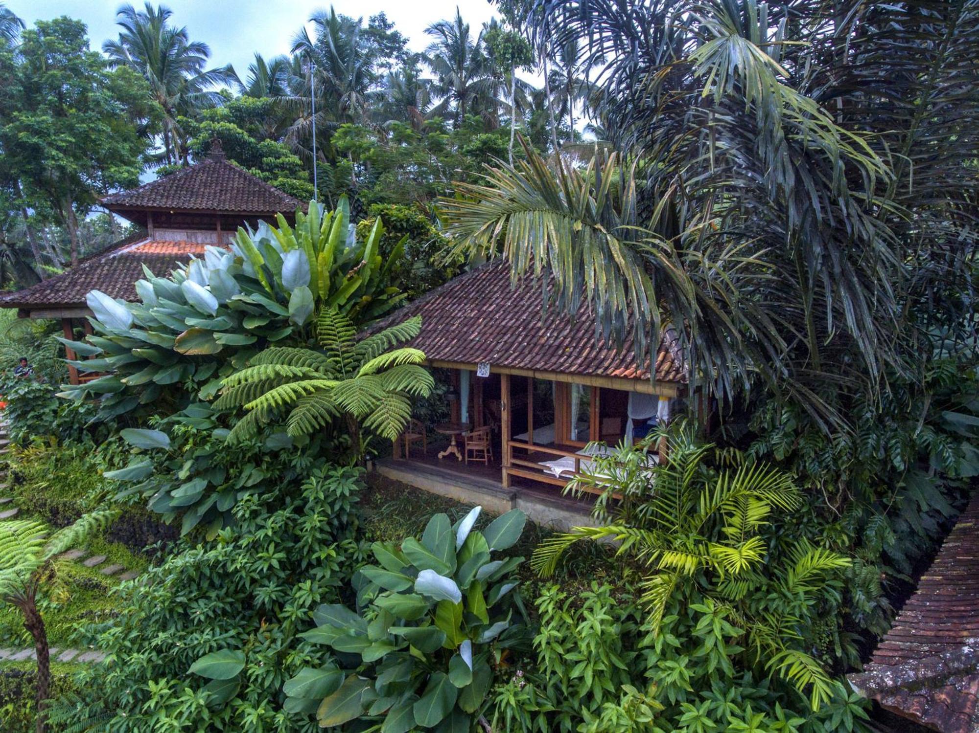 Dewi Tara Haven Payangan Quarto foto