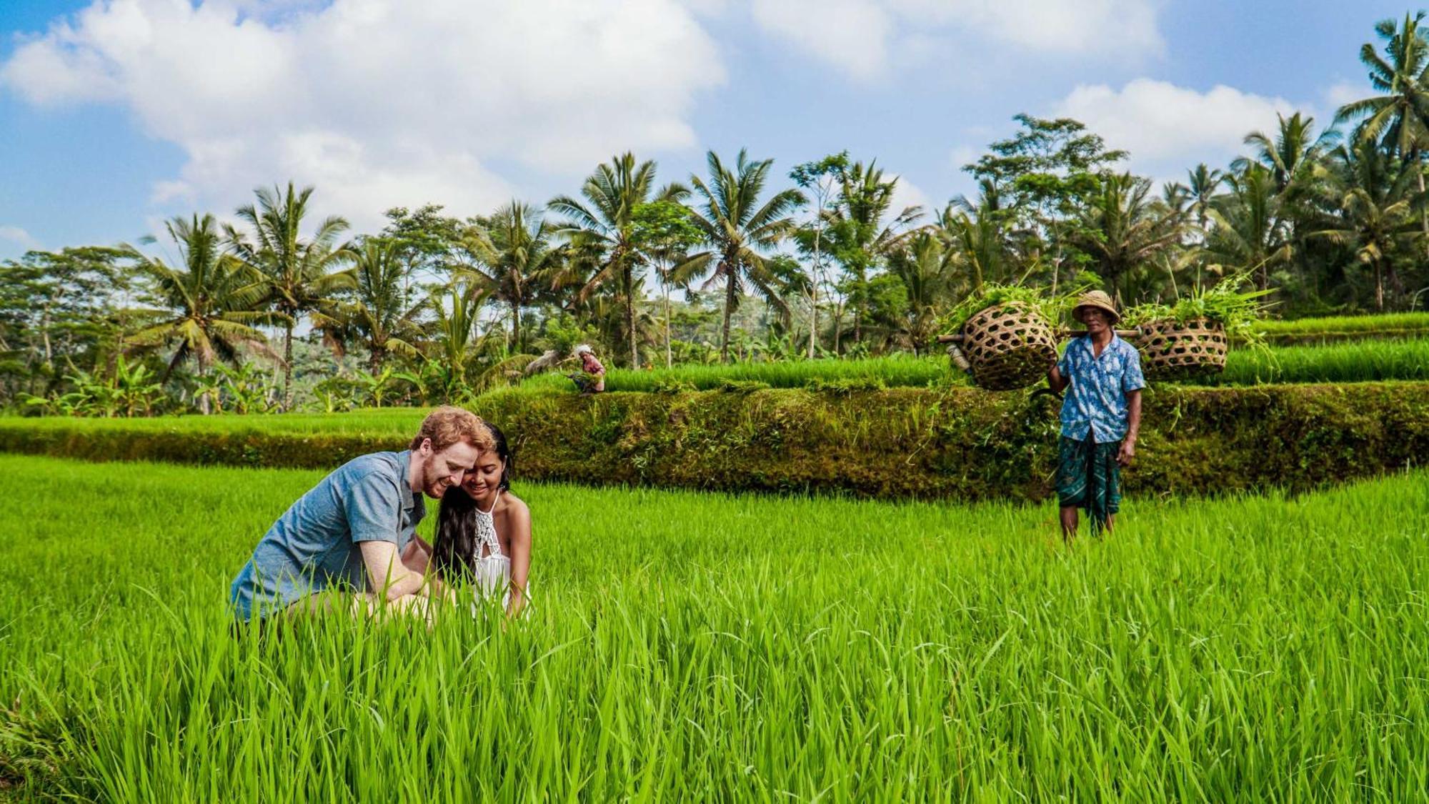 Dewi Tara Haven Payangan Exterior foto