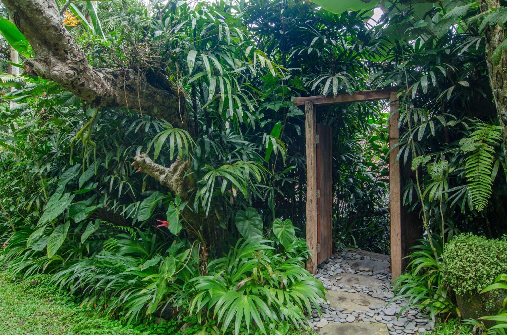 Dewi Tara Haven Payangan Quarto foto