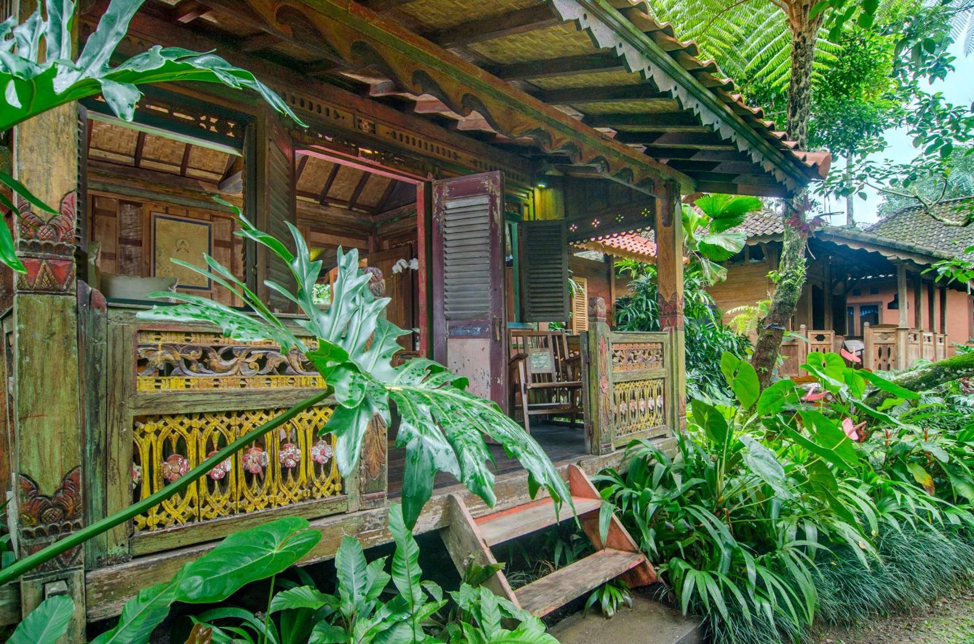 Dewi Tara Haven Payangan Quarto foto