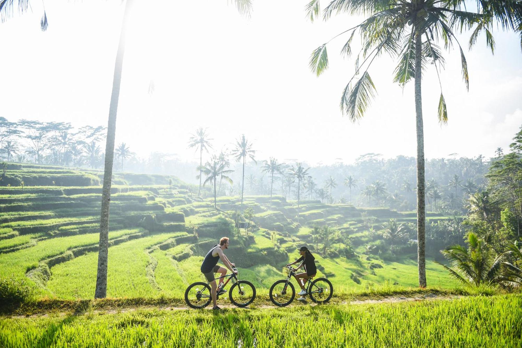 Dewi Tara Haven Payangan Quarto foto