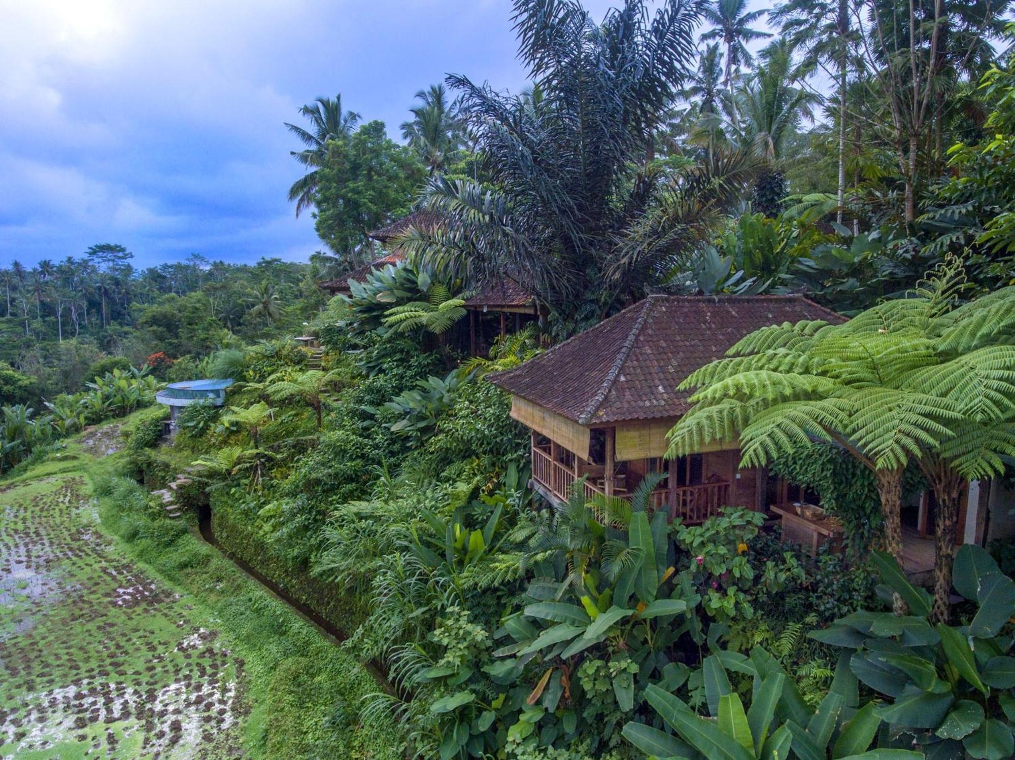 Dewi Tara Haven Payangan Quarto foto